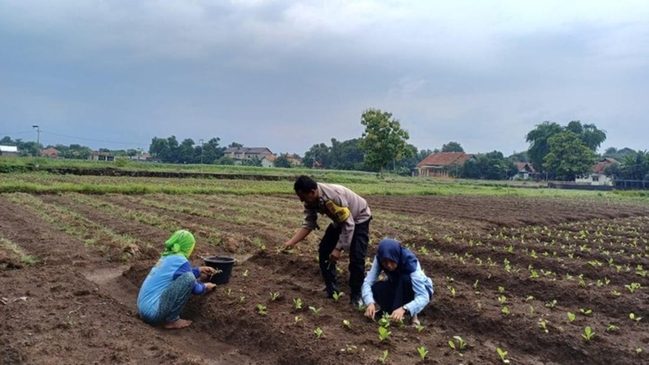 Aiptu Suwendi: Sang Penggerak Kemandirian Pangan Warga Desa Megu Gede Cirebon