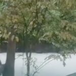 Pabrik Kimia Terbakar Cemari Sungai Cisadane, Suplai Air Tangerang Terhenti Sementara