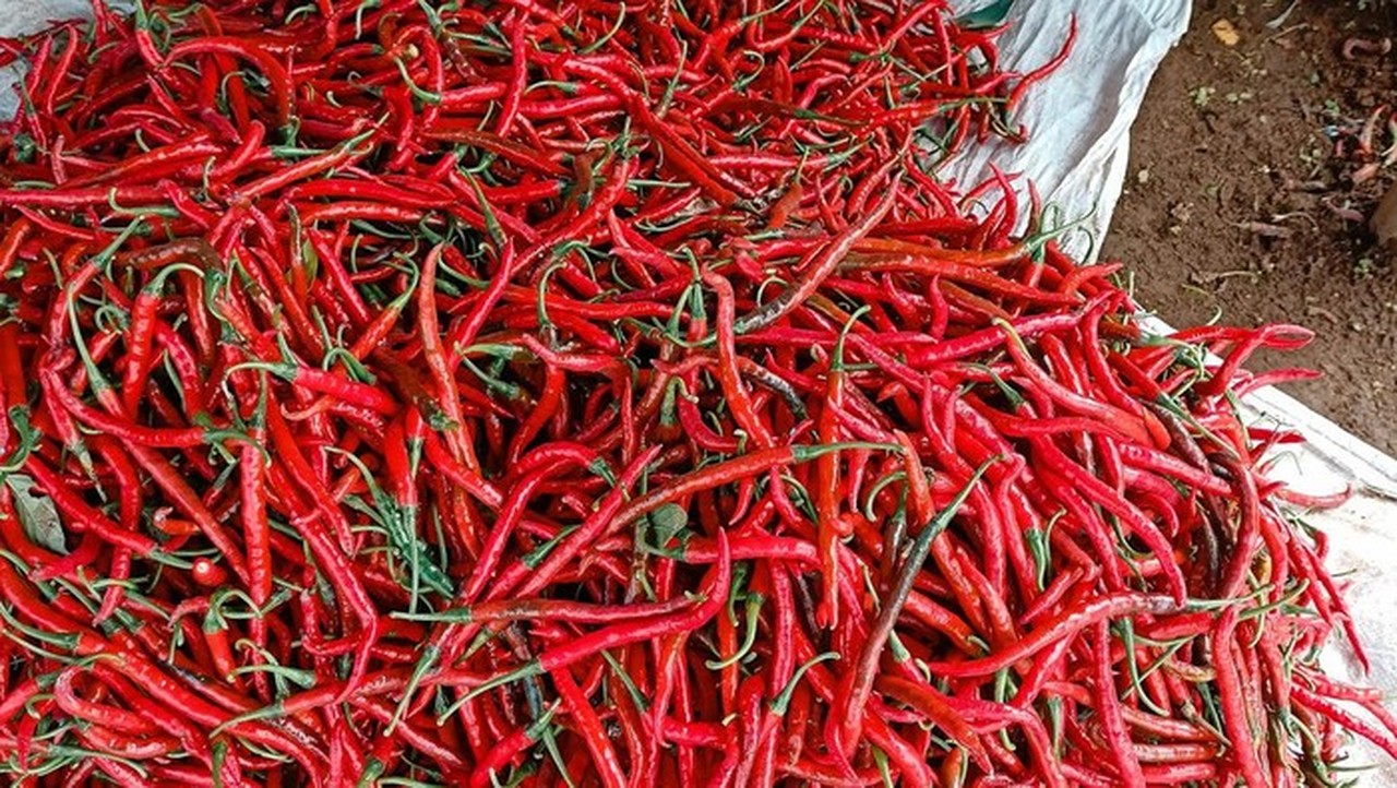 Jelang Ramadan, Pemprov DKI Waspadai Lonjakan Harga Minyak Goreng dan Cabai