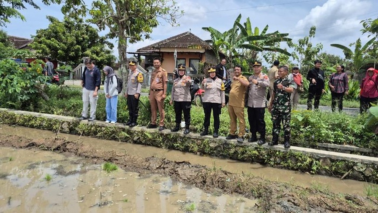 Polda Jateng Kembangkan Padi Japonica Tarabas untuk Kurangi Ketergantungan Impor Beras