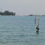 BMKG Peringatkan Potensi Banjir Rob di Pesisir Indonesia 12-19 Februari 2026