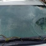 Pohon Tumbang di TB Simatupang, Mobil Honda HR-V Ringsek Tertimpa