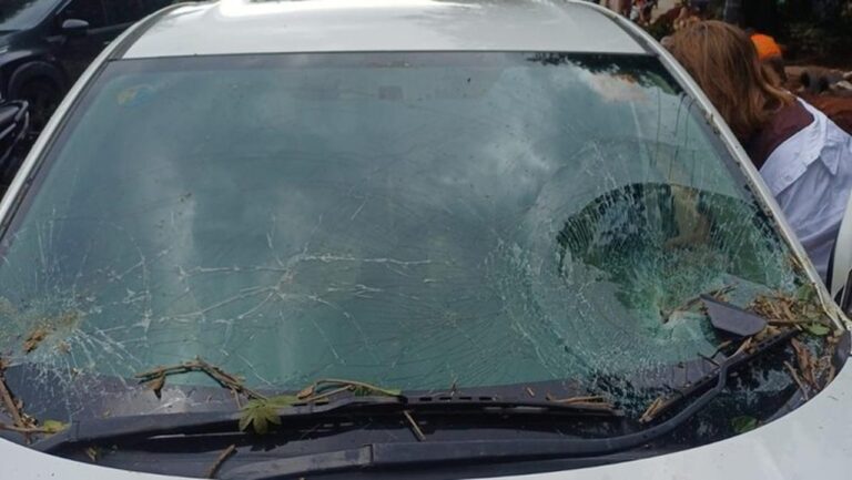 Pohon Tumbang di TB Simatupang, Mobil Honda HR-V Ringsek Tertimpa