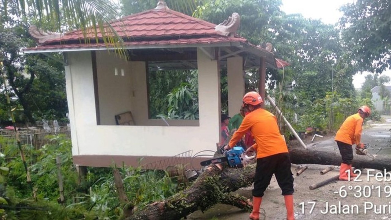 Pohon Tumbang Akibat Hujan Angin Timpa Tiga Rumah Warga di Cibinong Bogor