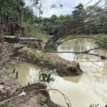 Longsor Hutan Bambu Bekasi: Warga Ceritakan Proses Terjadinya Bencana