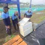 Napi Nusakambangan Pelajari Budidaya Sidat, Raih Premi Rp 450 Ribu per Bulan