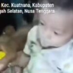 Ayah di Timor Tengah Selatan Paksa Bayi 11 Bulan Minum Miras, Polisi Selidiki