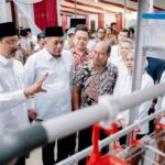 Kemensos Beri Bantuan Ayam Petelur untuk KPM, Targetkan Kemandirian Ekonomi