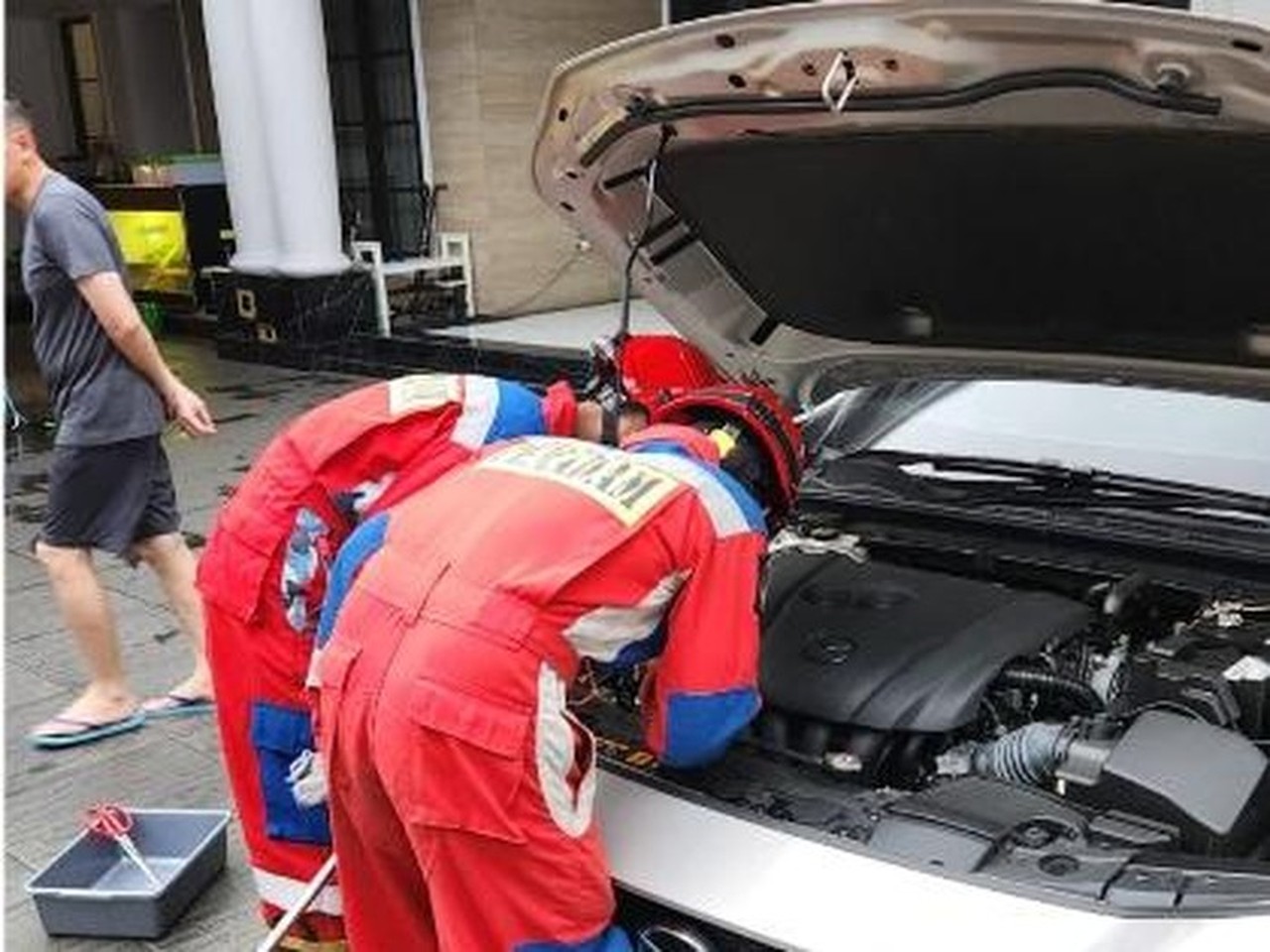 Sanca Albino Milik Warga Jaktim Ditemukan Bersembunyi di Kap Mobil Sanca Albino Milik Warga Jaktim Ditemukan Bersembunyi di Kap Mobil