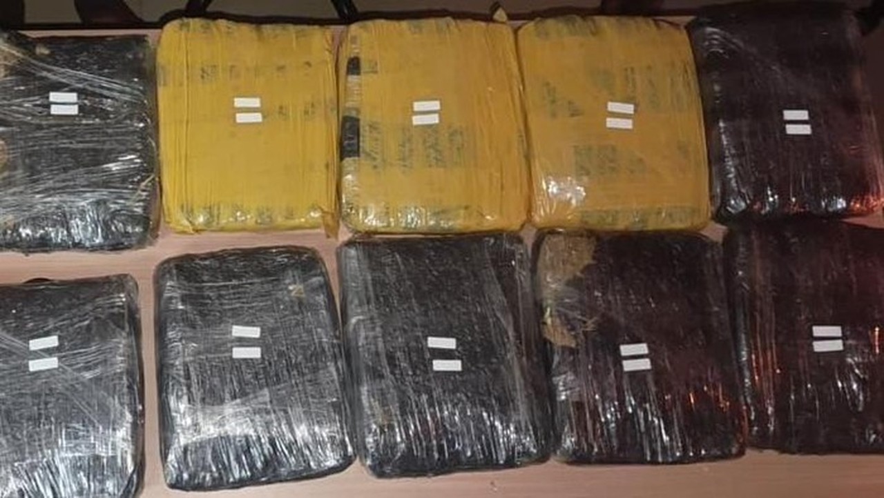 Polda Metro Jaya Sita 15,5 Kg Ganja dari Tiga Pria di Tanah Abang dan Pamulang Polda Metro Jaya Sita 15,5 Kg Ganja dari Tiga Pria di Tanah Abang dan Pamulang