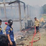 Ribuan Ayam Mati Terpanggang Akibat Kandang Terbakar di Boyolali