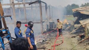 Ribuan Ayam Mati Terpanggang Akibat Kandang Terbakar di Boyolali