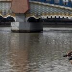 Sungai Cisadane Tercemar Pestisida Pasca Kebakaran Gudang, Risiko Kesehatan Mengintai