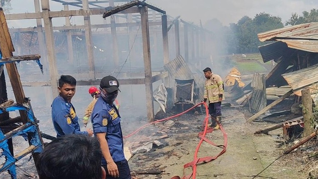 Kandang Ayam di Boyolali Ludes Terbakar, 10 Ribu Ekor Anak Ayam Mati Terpanggang Kandang Ayam di Boyolali Ludes Terbakar, 10 Ribu Ekor Anak Ayam Mati Terpanggang