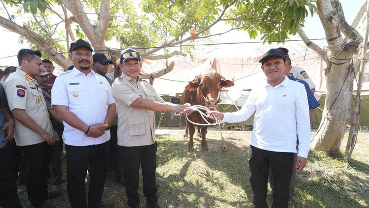 Presiden Prabowo Sumbang Rp72 Miliar untuk Daging Sapi Warga Aceh, Dibagikan Hari Ini
