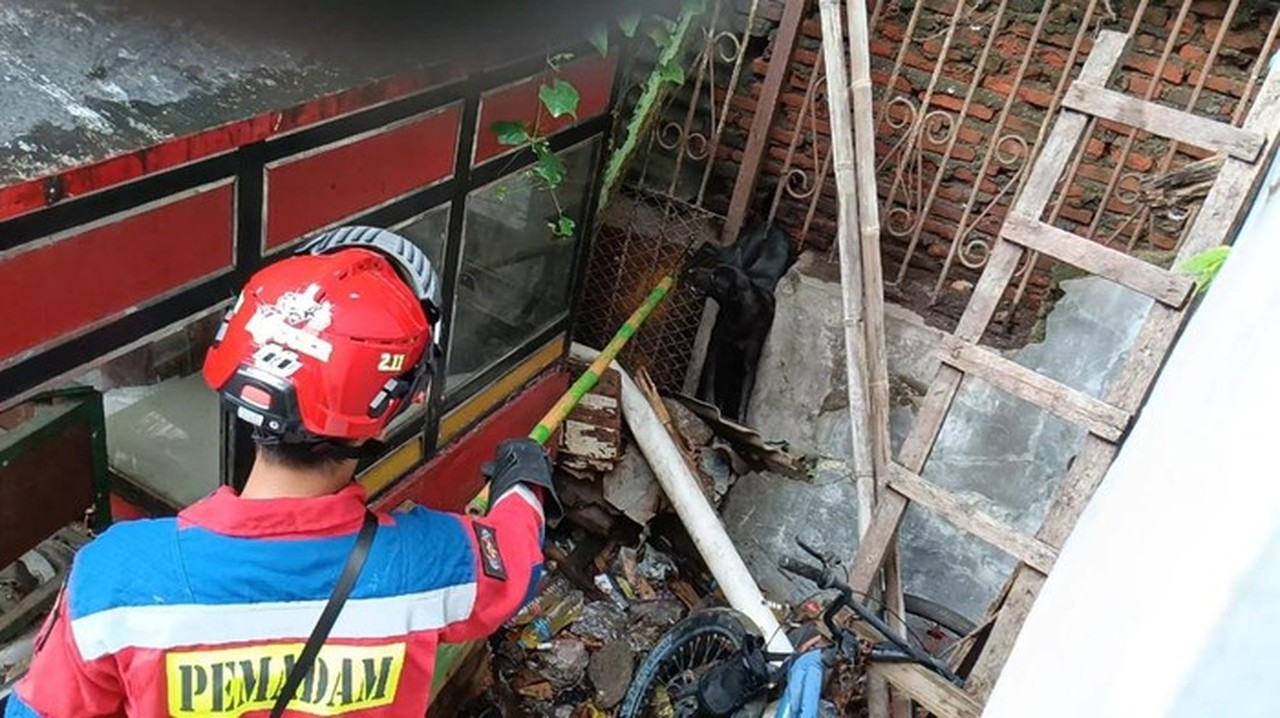 Damkar Mengevakuasi Anjing Terjepit Pagar Di Jakut (dok. Istimewa)