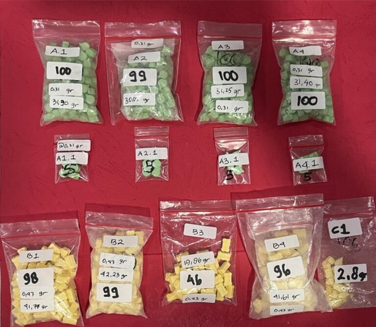 Polda Metro Jaya Amankan Dua Pelaku Narkoba di Jakpus, Sita 738 Butir Ekstasi