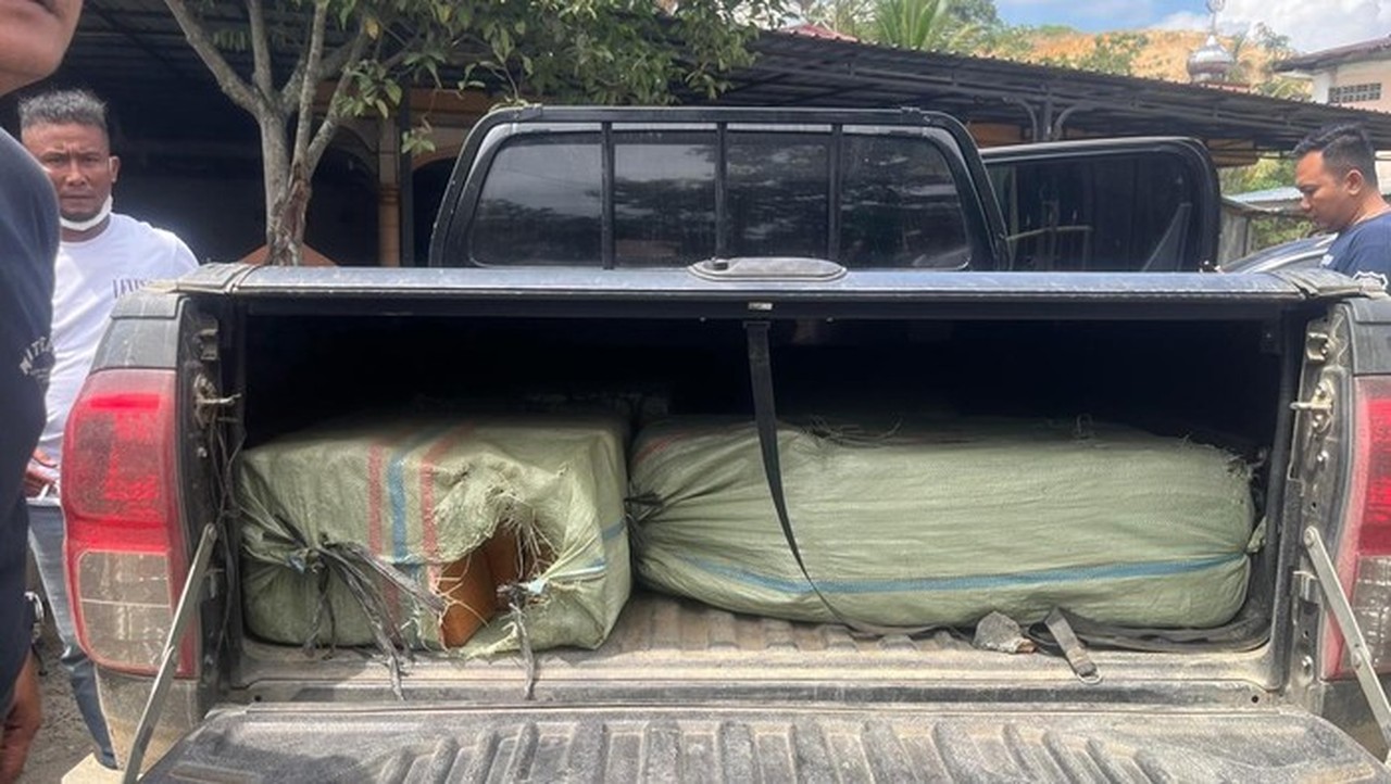 BNN Gagalkan Penyelundupan 200 Kg Ganja Jaringan Aceh-Medan, Tiga Tersangka Dibekuk