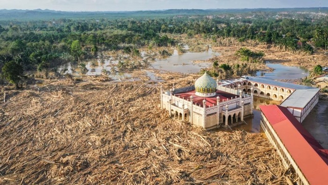 Dugaan Pembalakan Liar di Aceh Naik Penyidikan, Polisi Usut Pelanggaran Lingkungan