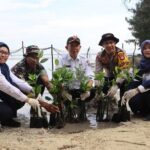 Polda Metro Jaya dan Forkopimda Bersih-bersih Pantai Pulau Tidung Kecil, Tanam Mangrove Cegah Abrasi