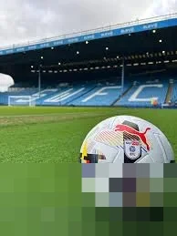 Sheffield Wednesday vs Southampton: Pertarungan Hidup Mati The Owls di Tengah Ambisi Promosi The Saints
