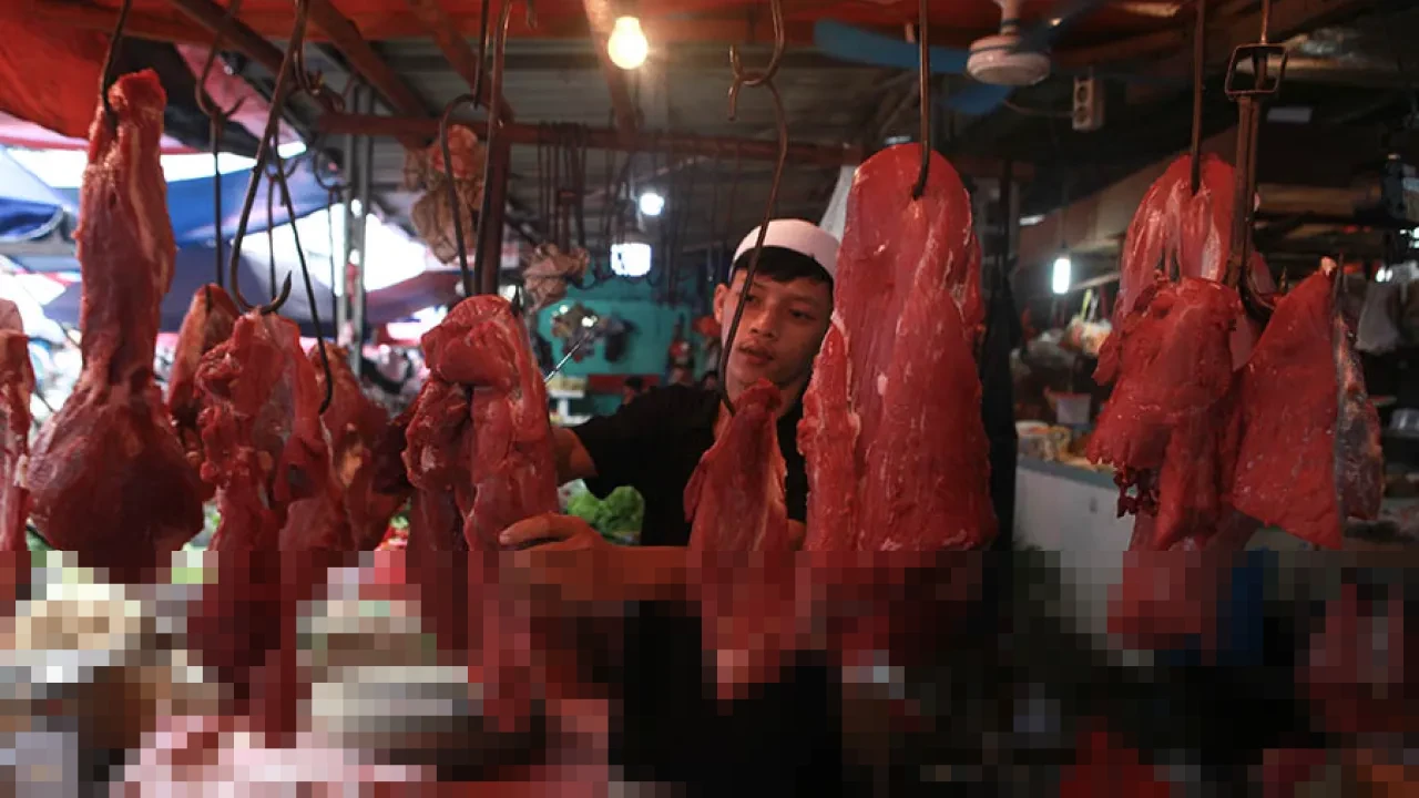 Harga Daging Sapi Diprediksi Bertahan Tinggi hingga Pertengahan 2026, Pasokan dan Impor Jadi Sorotan
