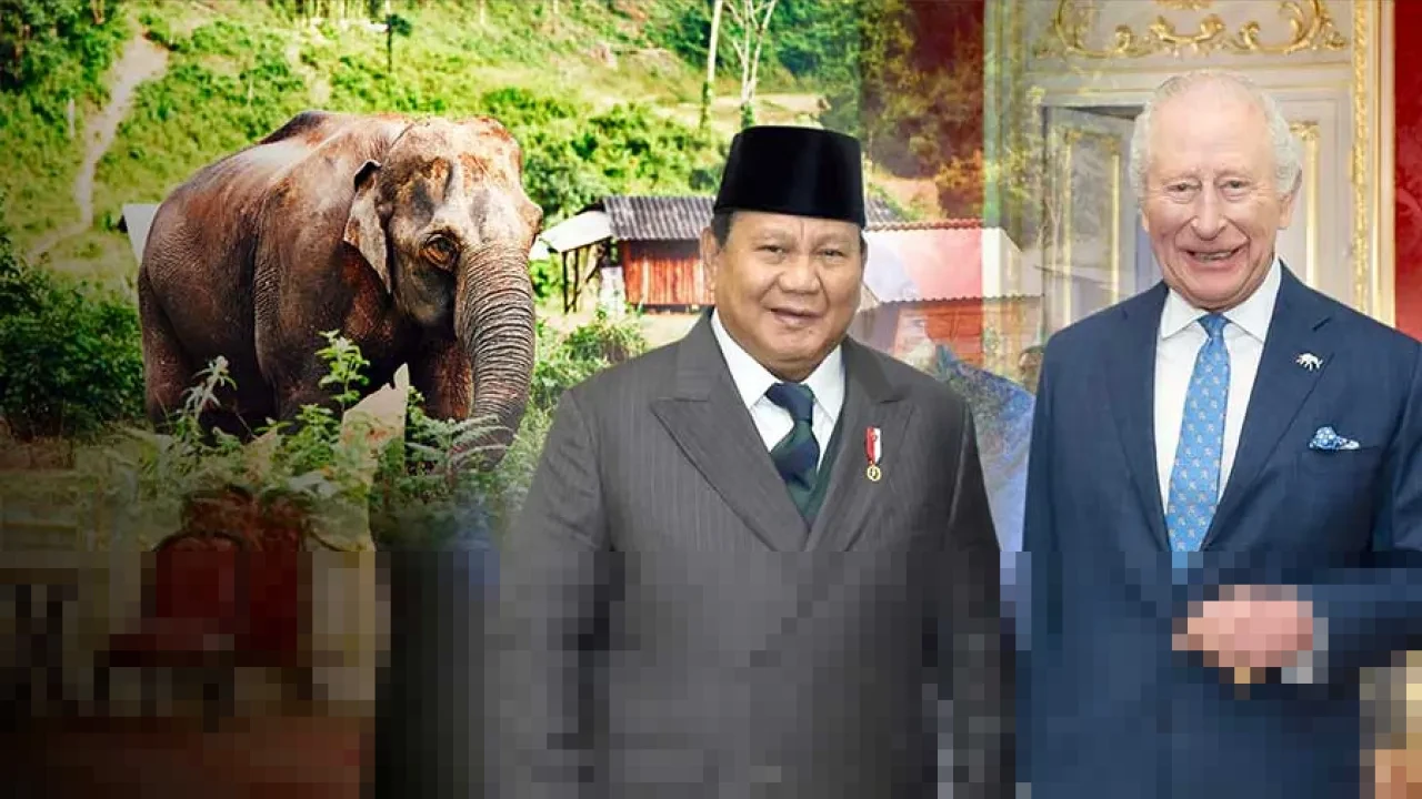Prabowo Kucurkan Rp839 Miliar untuk Pagar dan Tanggul Way Kambas, Redam Konflik Gajah