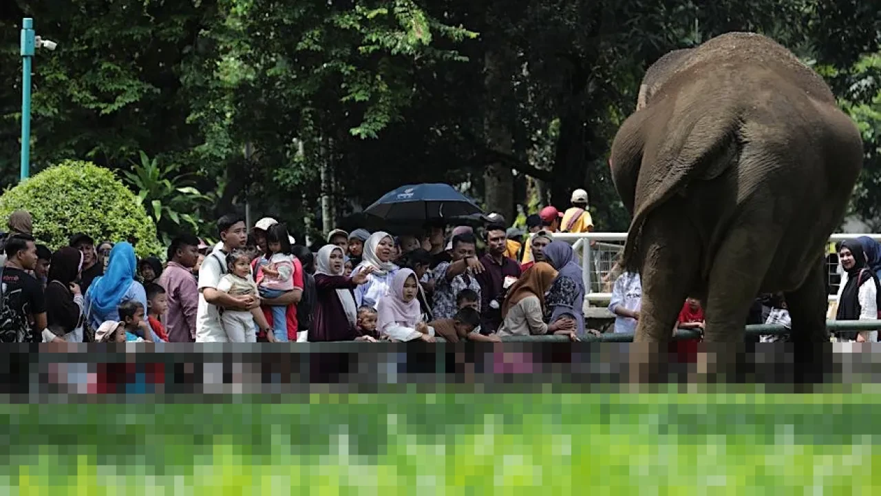 Pengunjung Ragunan Capai Puluhan Ribu di Cuti Bersama Lebaran, Diprediksi Tembus 100 Ribu